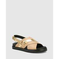 Read Wittner Reviews